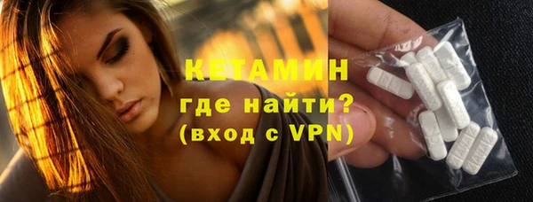 индика Бронницы
