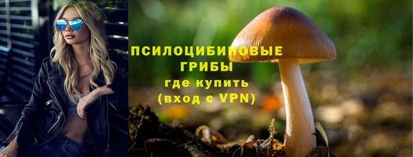 индика Бронницы