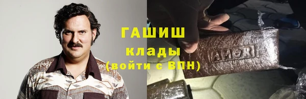 индика Бронницы