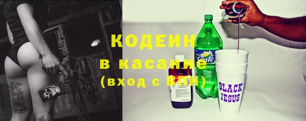 индика Бронницы