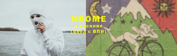 хмурый Богородск