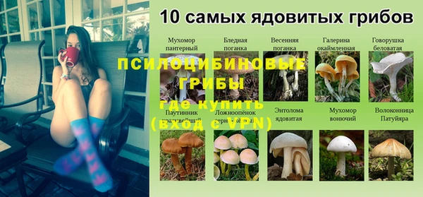 хмурый Богородск
