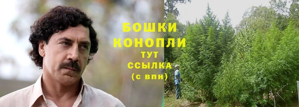 скорость mdpv Богородицк