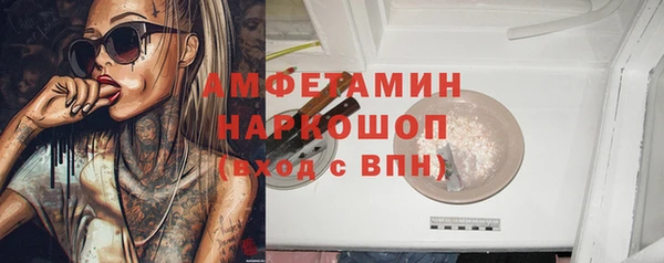 индика Бронницы